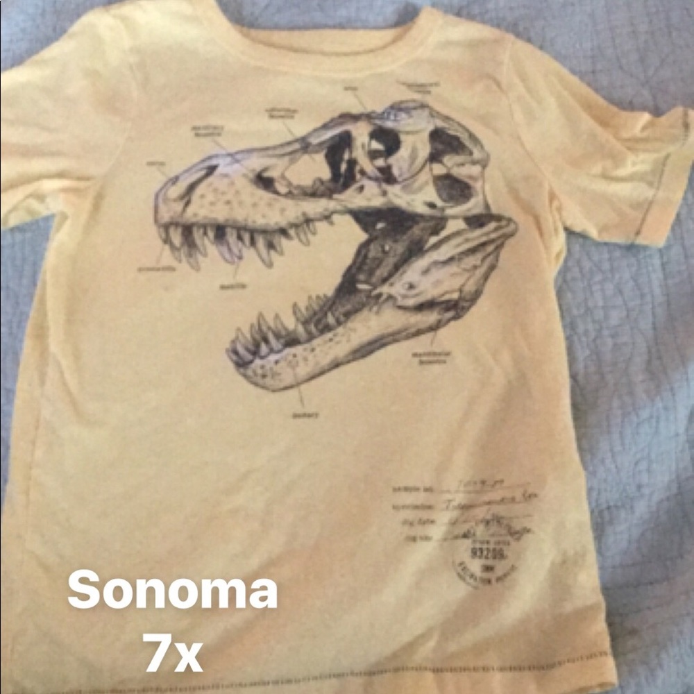 Sonoma short sleeve T-shirt 7x
